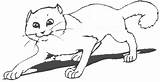 Coloring Cat Sneaky Cats Animals sketch template