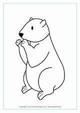 Groundhog Pages Colouring Drawing Coloring Activity Village Explore Outline Paintingvalley Activityvillage sketch template