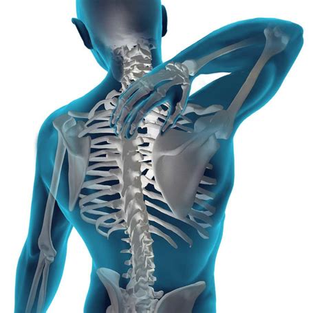 special chiropractic treatments  spinal health health wellness