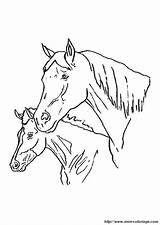 Kleurplaat Paarden Caballos Horses Cavalli Pferde Paard Dibujos Bellissimi Caballo Pferd Stute Chevaux Caso Posto Potete Cambiare Dieren sketch template