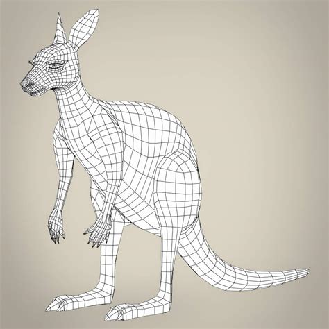 kangaroo  model  treeworldd