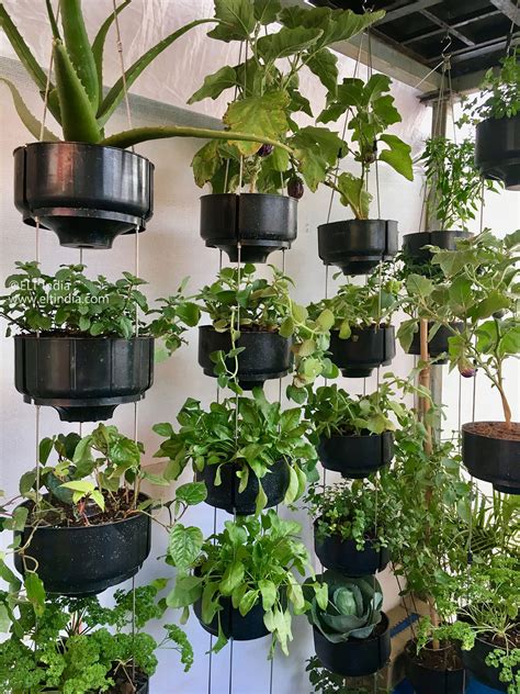 vertical garden system ideas   blow  mind