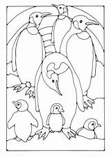 Coloring Penguin Large sketch template