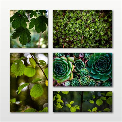 gruentoene foto bild pflanzen pilze flechten fotokunst natur