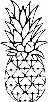 Pineapple Coloring Getcolorings sketch template