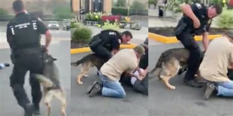 video shows  forcing police dog  bite pinned  man