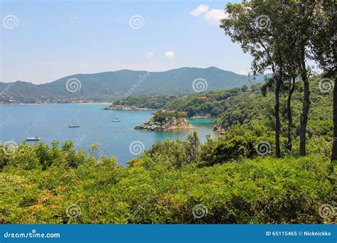 sailing yachts  tyrrhenian sea  elba island italy stock image image  elba mountain