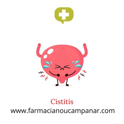 cistitis causas recomendaciones  preguntas mas frecuentes