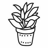 Kalanchoe Succulent Suculenta Planta Pflanze Saftig Vexels sketch template