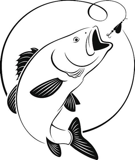 Striped Bass Illustrations Royalty Free Vector Graphics