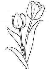 Tulip Tulpen Ausdrucken sketch template