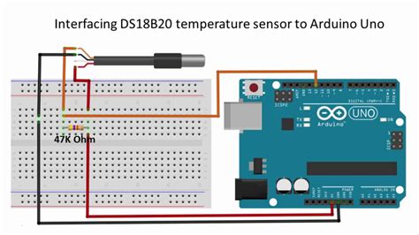 interfacing dsb temperature sensor arduino uno youtube