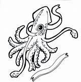 Squid Coloring Giant Drawing Pages Vampire Getdrawings Printable Clipartmag Color Getcolorings sketch template