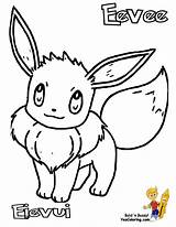 Pokemon Eevee Coloring Yescoloring Kids Pages Color Vaporeon Jolteon Mew Ditto Book Boys Printables Famous Goldeen sketch template