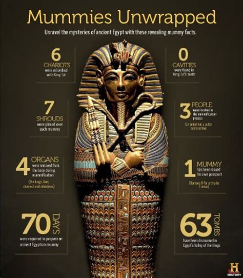 Mummification In Ancient Egypt