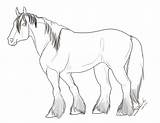 Shire Clydesdale Pferde Cheval Malvorlage Malvorlagan Getdrawings sketch template