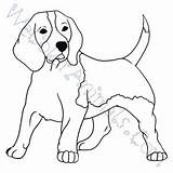 Coloring Pages Dog Hound Getcolorings Printable sketch template