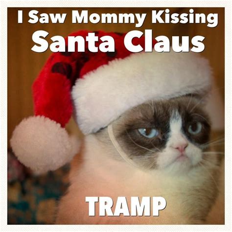 Grumpy Cat And Christmas Tard The Grumpy Cat Christmas Xmas