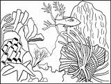 Arrecifes Rafa Arrecife Koralowa Corales Dibujo Corail Kolorowanki Coloriages Naturaleza Animal Dzieci Reefs Peces Wydruku Coloringpagesfortoddlers sketch template