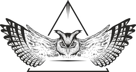 owl vector design  vector cdr  axisco