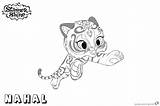 Pages Shine Shimmer Coloring Pet Nahal Jumping Printable Kids sketch template