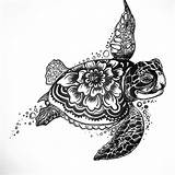 Tattoo Turtle Tattoos Drawings Designs Turtles Choose Board Sleeve sketch template