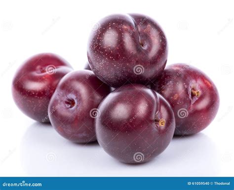 ripe purple cherry plums stock photo image  tasty