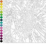 Number Color Coloring Pages Numbers Peacock Fox Tiger Printable Wonder sketch template