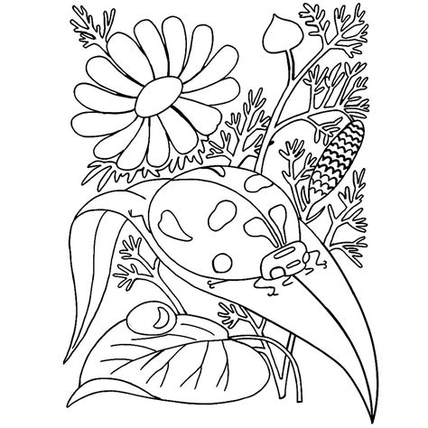 spring animals coloring pics animal coloring pages