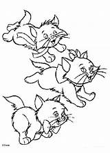 Coloring Kittens Three Little Pages Popular sketch template