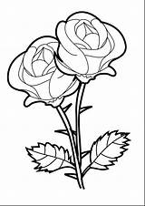 Rose Bush Coloring Drawing Getdrawings Pages sketch template