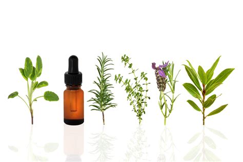 turn a good massage into a great massage with essential oils
