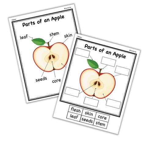 parts   apple activity   printable mombrite