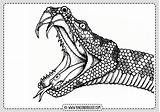 Serpiente Serpientes Imprimir Rincondibujos sketch template