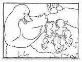 Quack Ducks Ducklings Coloringpages sketch template