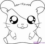 Cartoon Coloring Pages Character Characters Drawings Hamster Draw Step Animals sketch template