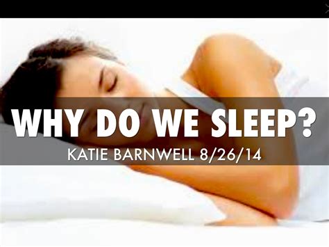 why do we sleep by katie barnwell