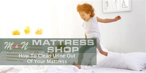 clean urine   mattress mn mattress