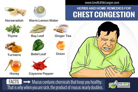 natural home remedies  chest congestion relief