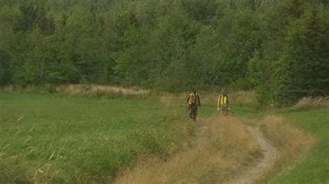 87 year old havelock woman found alive after 56 hour search cbc news