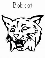 Coloring Bobcat Pages Getcolorings Color sketch template