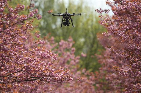 insurers increasing reliance  drones helping  shape legislation morning consult