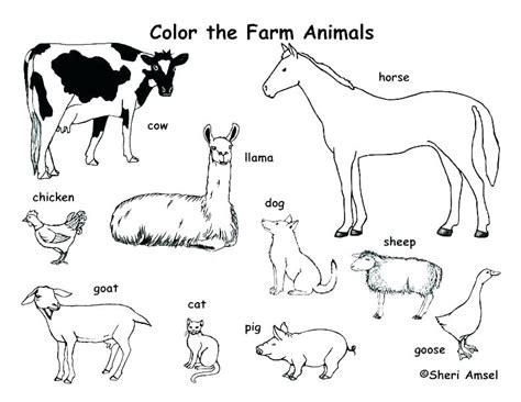 preschool farm animal coloring pages  getcoloringscom