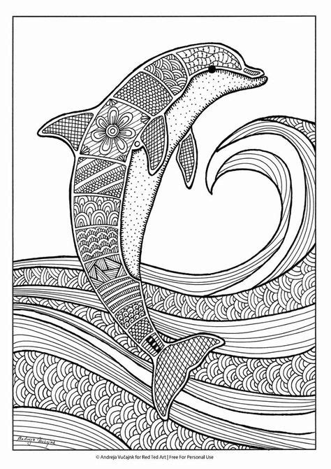 coloring pitchers  animals   dolphin coloring pages coloring