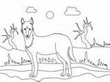 Dingo Mammals Supercoloring sketch template