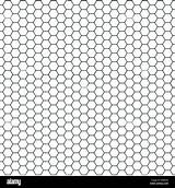 Honeycomb Hexagon Alamy sketch template