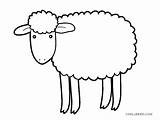 Sheep Coloring Pages Drawing Lamb Printable Preschool Kids Print Cool2bkids Template Face Clipartmag Outline sketch template