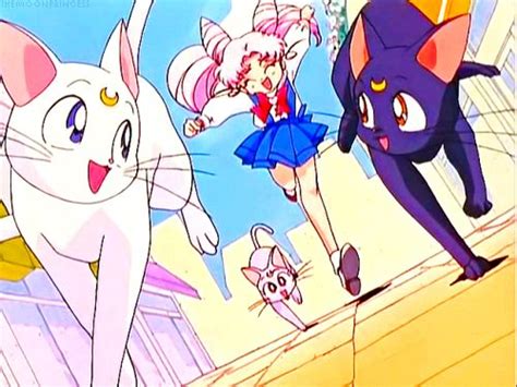 Chibi Usa With Luna Artemis And Diana Sailor Chibi Moon