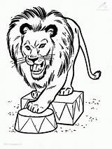 Coloring Lion Head Popular sketch template