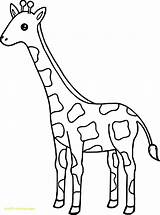 Giraffe Giraffes Jirafa Ausdrucken Coloriage Malvorlage Getcolorings Maternelle Pata Animal Entitlementtrap Malvorlagen Giraffen Drucken Jungle sketch template
